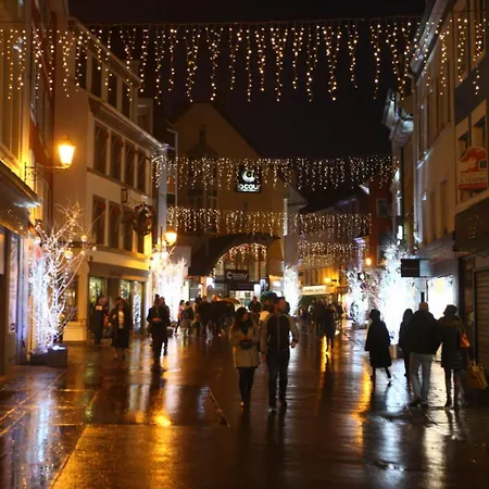 Duplex Eleonore-lilas Apartamento Mulhouse