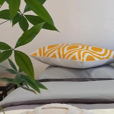 Duplex Eleonore-lilas * Mulhouse