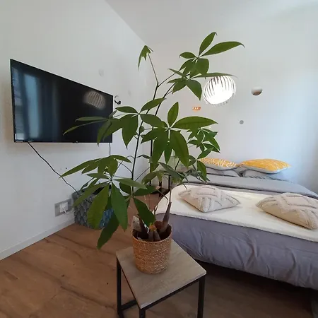 Duplex Eleonore-lilas مُلووز