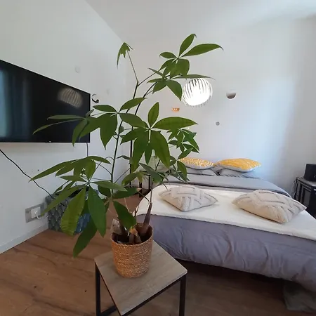 Apartamento Duplex Eleonore-lilas Mulhouse