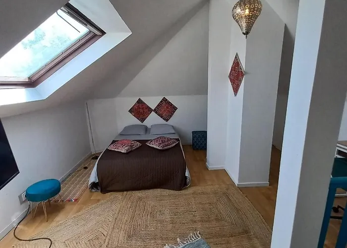 Duplex Eleonore-lilas Апартаменты Мюлуз