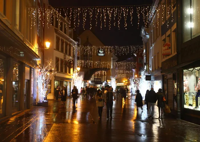 Duplex Eleonore-lilas Апартаменты Мюлуз