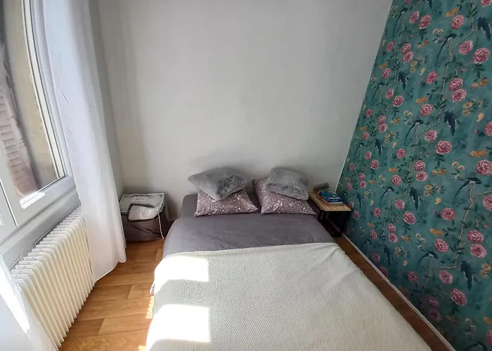 Duplex Eleonore-lilas * Мюлуз