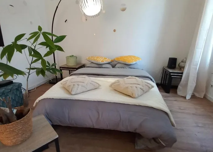 Duplex Eleonore-lilas Мюлуз