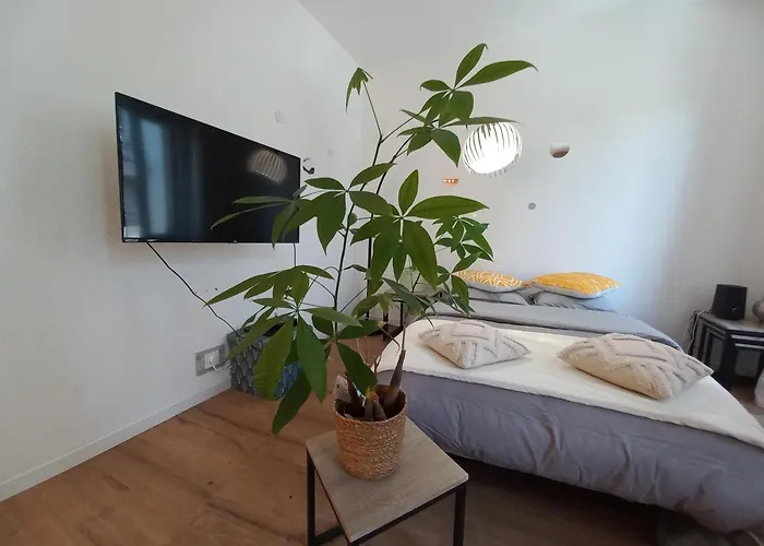 Duplex Eleonore-lilas Мюлуз