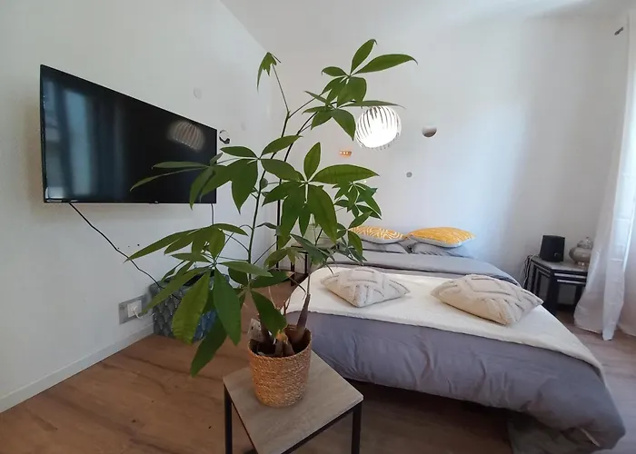 Апартаменты Duplex Eleonore-lilas Мюлуз